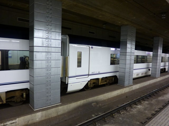 �C�u�j���O���C�i�[�̎p���������܂�_�������w