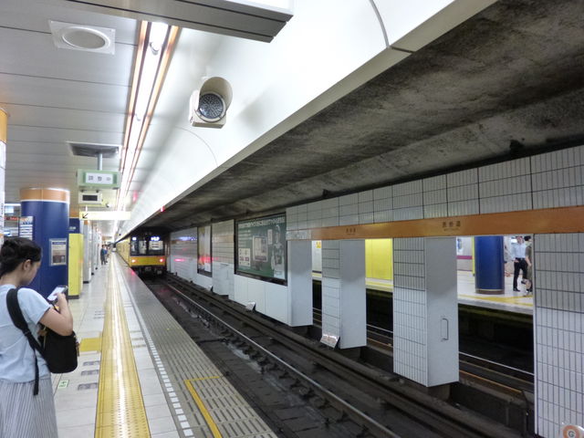 �������g����3����������Ă��܂�_�\�Q���w