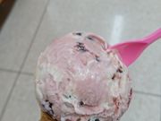 ̃T[eBACXN[CI[ŕlXi31 Baskin-Robbinsj̓eʐ^1