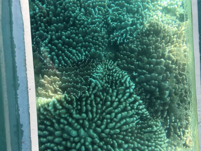 �O���X�{�[�g����_�����}�������W���[