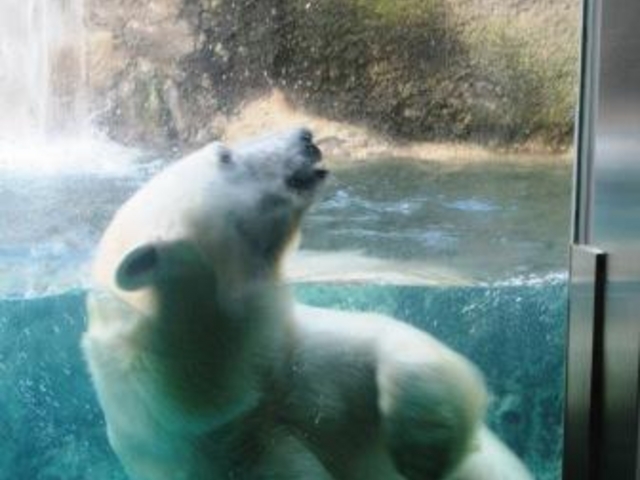 ���������^�C��_���R������