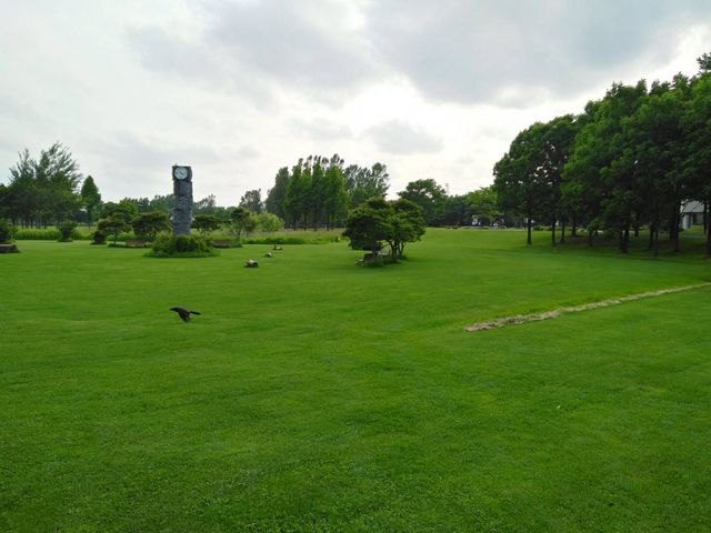 �q�����V�ѕ���̍L���B�o�[�x�L���[�R�[�i�[������܂��B_�S����������