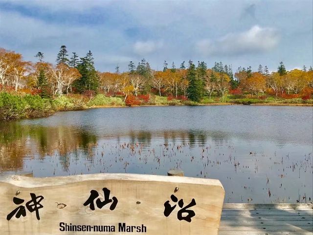 10/09,2017_�_���