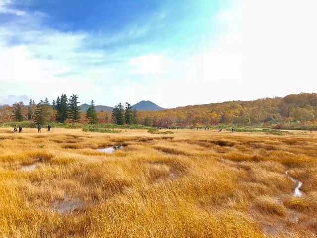 10/09,2017_�_���