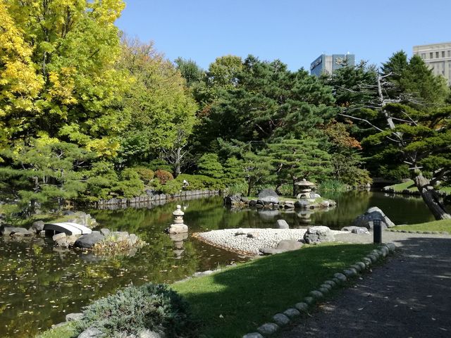 ����������_��������