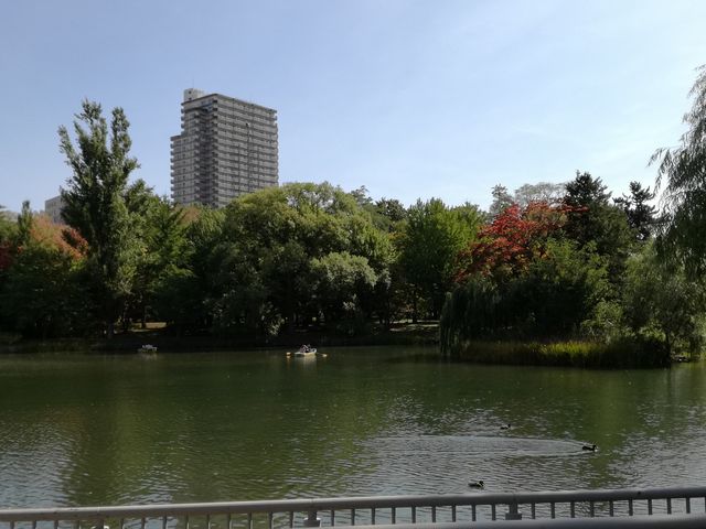 �r�̖k��������_��������