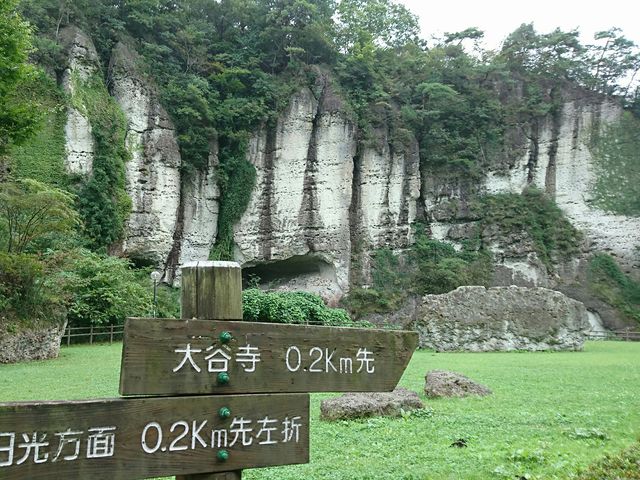 ��J�΂���]_��J�i�ό���