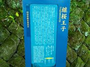 Ђ낿񂳂̌pqՂ̓eʐ^1