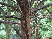 momȍĐKIRѐHij̓eʐ^1