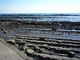 マリーさんの青島の隆起海床と奇形波蝕痕の投稿写真1
