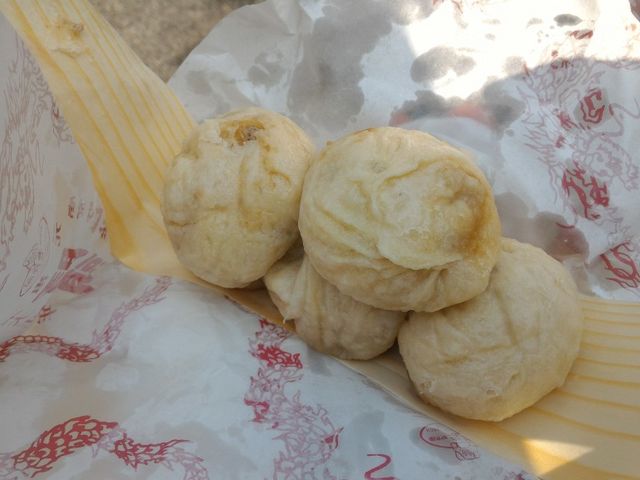 ���܂�_�V�ˋL