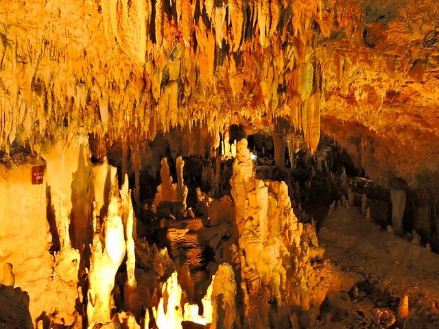 �Ί_���ߓ���