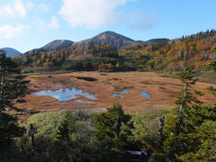 ܂炳̉ΑŎRւ̓eʐ^1