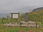 sklfh����̃J�u�g���̓��e�ʐ^1