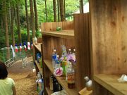 炮݂̐X̋󒆂сupJuv̓eʐ^1