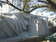 TrL̕z܂̑啧̓eʐ^2