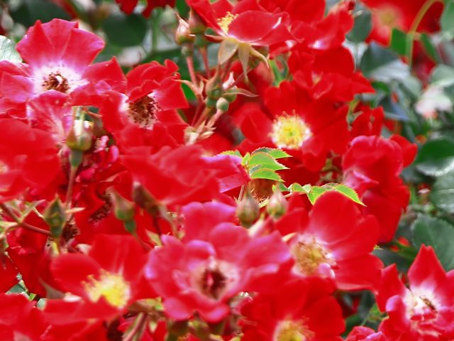 �o��_�����o����