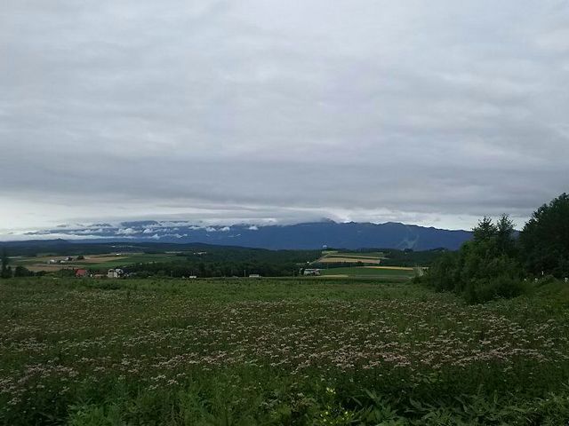 ���l�x�ǖ�_�\���x�]�x��