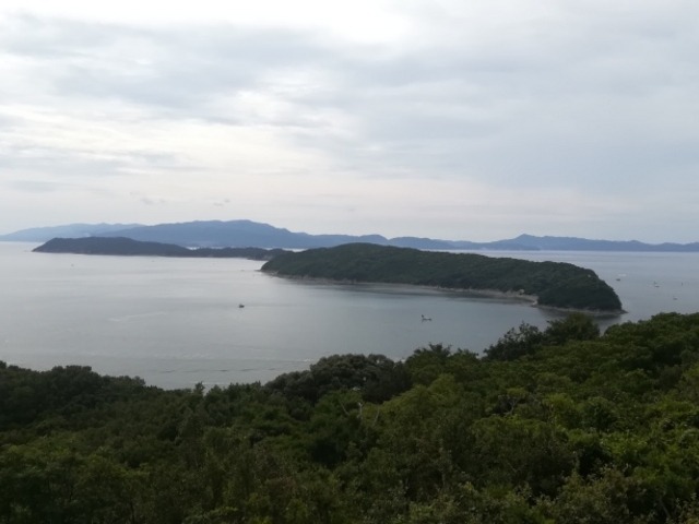 ���r�[����̕��i_�x�ɑ��I�B����