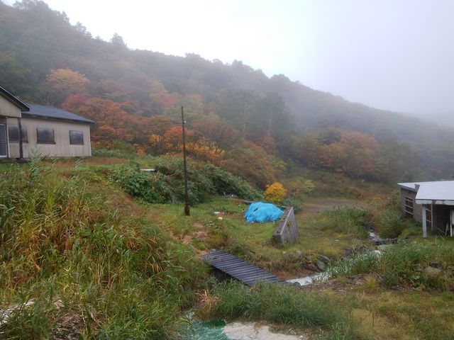 ���F�͏��X����܂����B_�����̍g�t