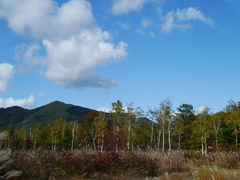 kate����̈�m�����n�ւ̓��e�ʐ^1