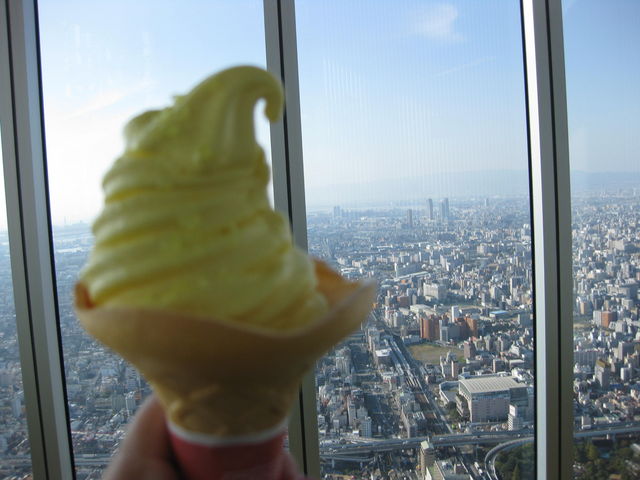 TATKSKY GARDEN XJCK[f 300̓eʐ^2