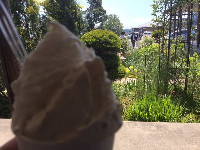 ̎ނ̃ACXN[܂_WFeAEK[