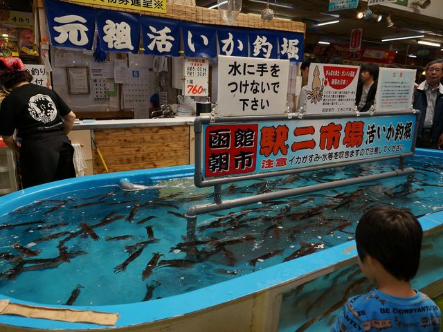 �C�J�̒ނ�x_���ْ��s