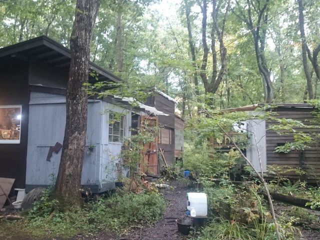 ǂ킢Xł_ȗ΂̃CeA@ۉ