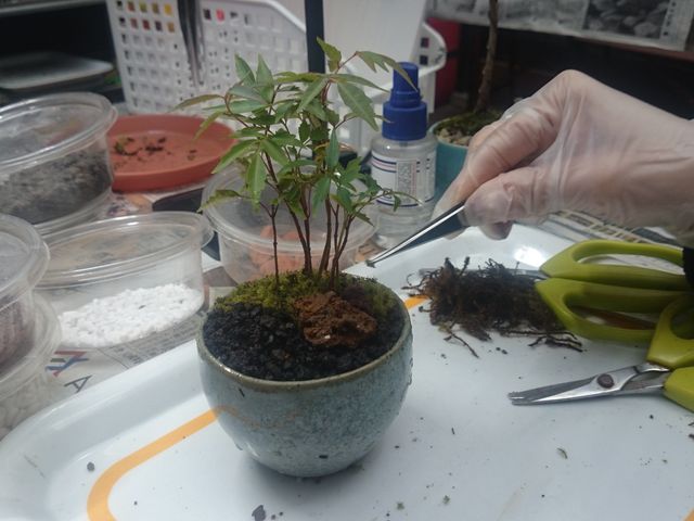 ~YSPƓ\tĂ܂_ȗ΂̃CeA@ۉ