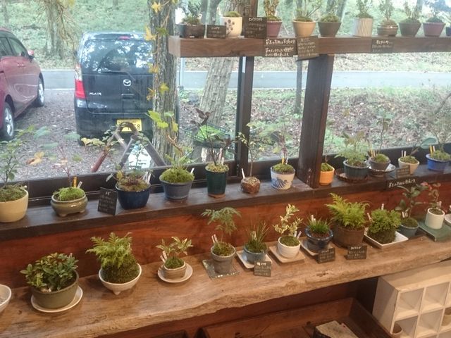 i񔄂Ă܂_ȗ΂̃CeA@ۉ