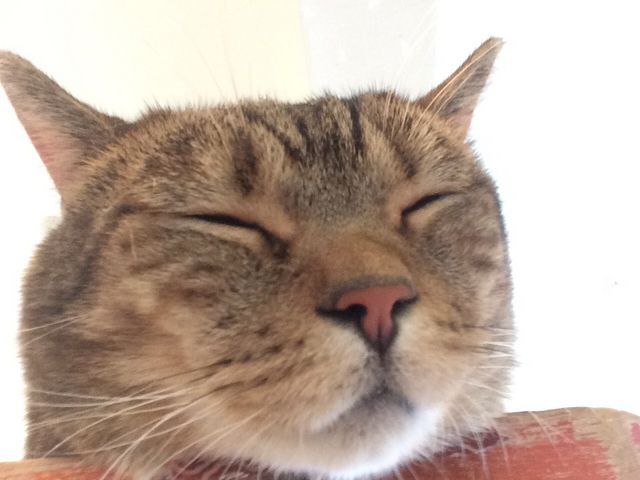 ͂コ̂˂JtF Ȃ̓eʐ^3