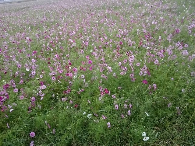 񂿂񂳂̃Tj[Y̓eʐ^1