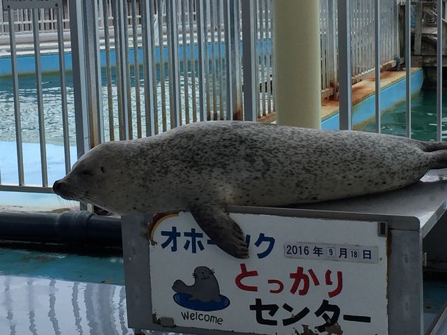 �����ł���H_�I�z�[�c�N�Ƃ�����Z���^�[