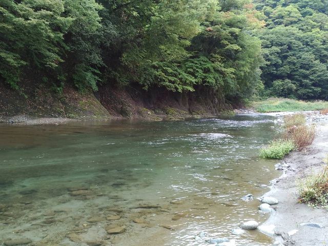 実に綺麗な川である。_新戸キャンプ場