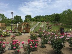 ayuyû͂ڂoւ̓eʐ^1