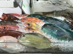 ����������̑��q�u���ݎs��ւ̓��e�ʐ^1