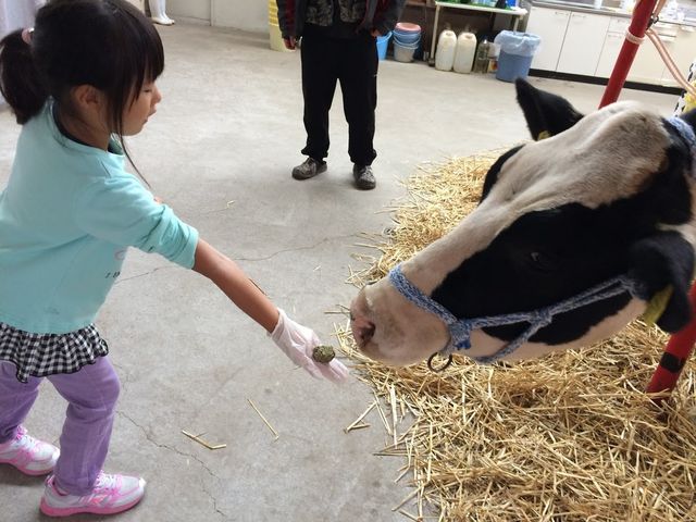 �a���_�n�ӑ̌��q��