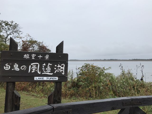 ���J�̕��@��_���@��