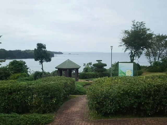 ��݂Ԃ���̂�������r�A�p�[�N�̓��e�ʐ^1