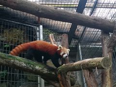 ł񂿂񂳂̔Moiijւ̓eʐ^1