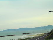 ���܂���񂳂�̌Η˂��ɂт��C�݂̓��e�ʐ^1