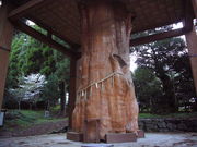 񂿂񂳂̍_Ђ̓eʐ^1