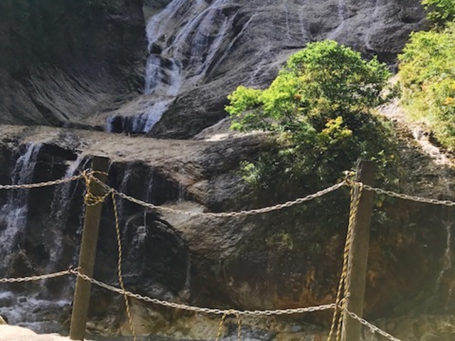 �I�V���猩����W����_�e�J�̓�