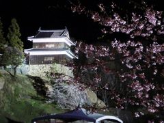 ゆまさーまんさんの上田城跡の投稿写真1