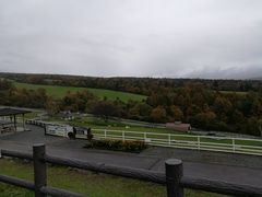 山梨県立まきば公園の口コミ一覧 じゃらんnet