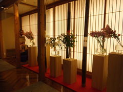 Ђ񂳂̑É ]_ւ̓eʐ^1