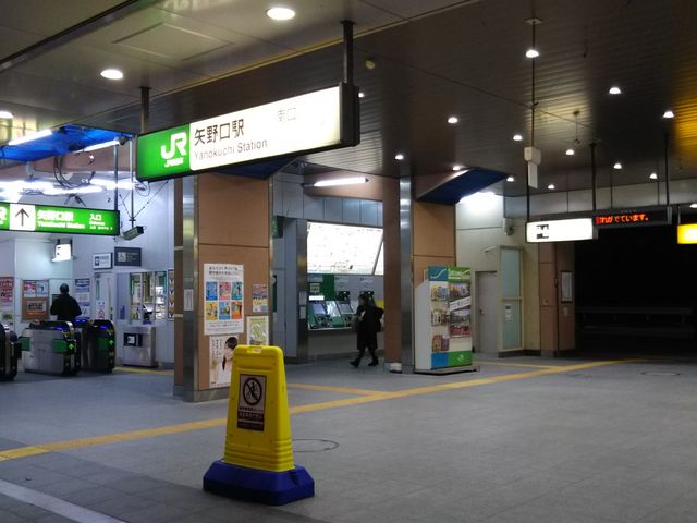 cJ擙X͂̏ZľϒK̓eʐ^1