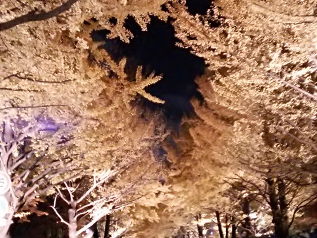 �k���Ǖ���_�k��C�`���E����