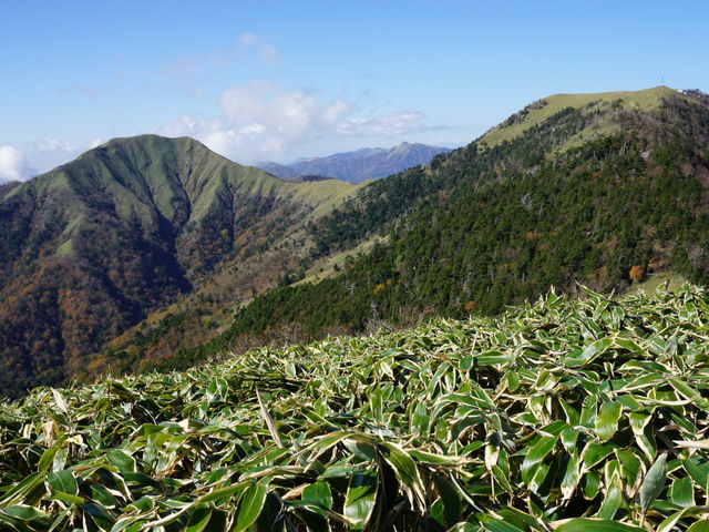 ��̐X����W���E�M���E��ՂށB_���Y��